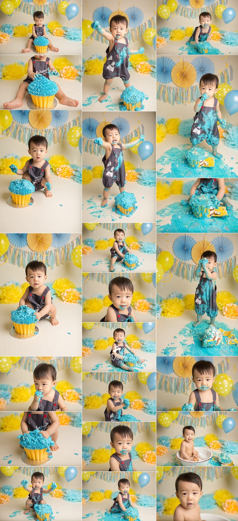 Blue and yellow cake smash theme