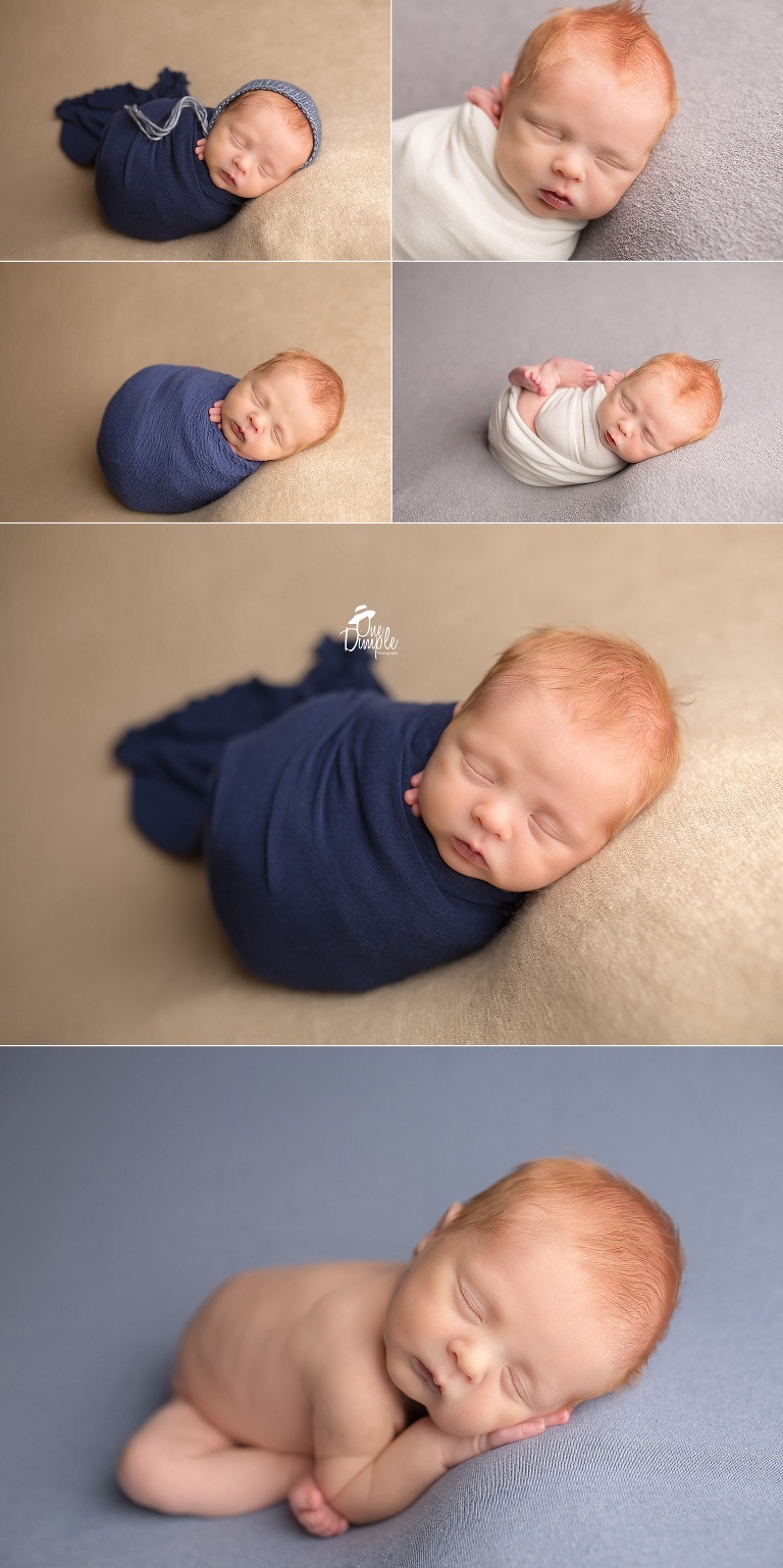 DFW posed bewborn session with swaddled baby boy. 